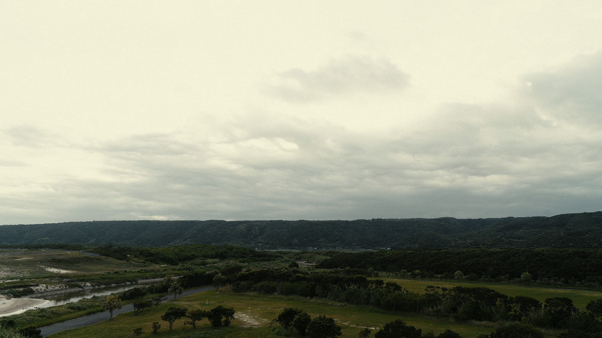 tanegashima-2
