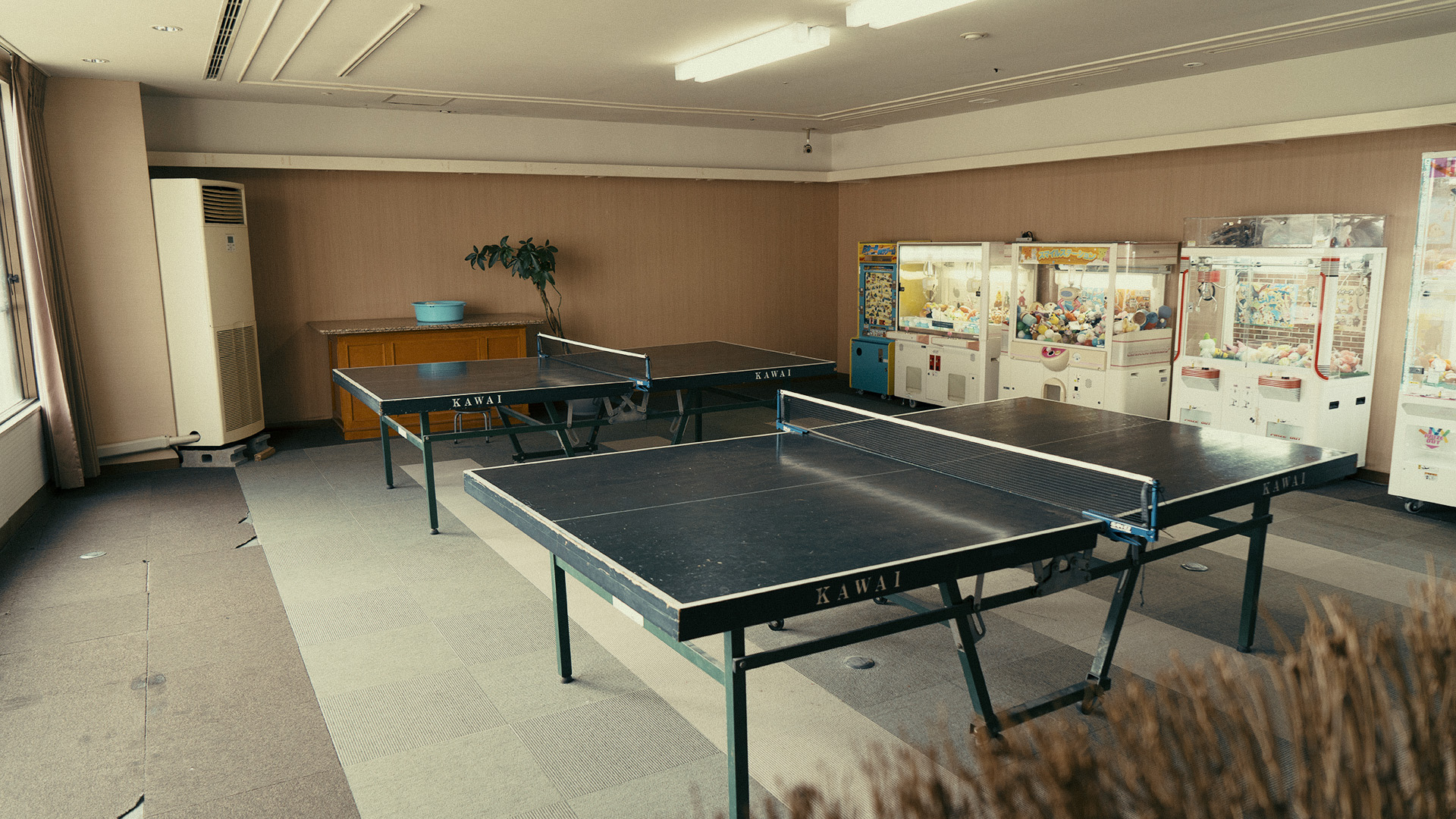 nichinan-miyazaki-15