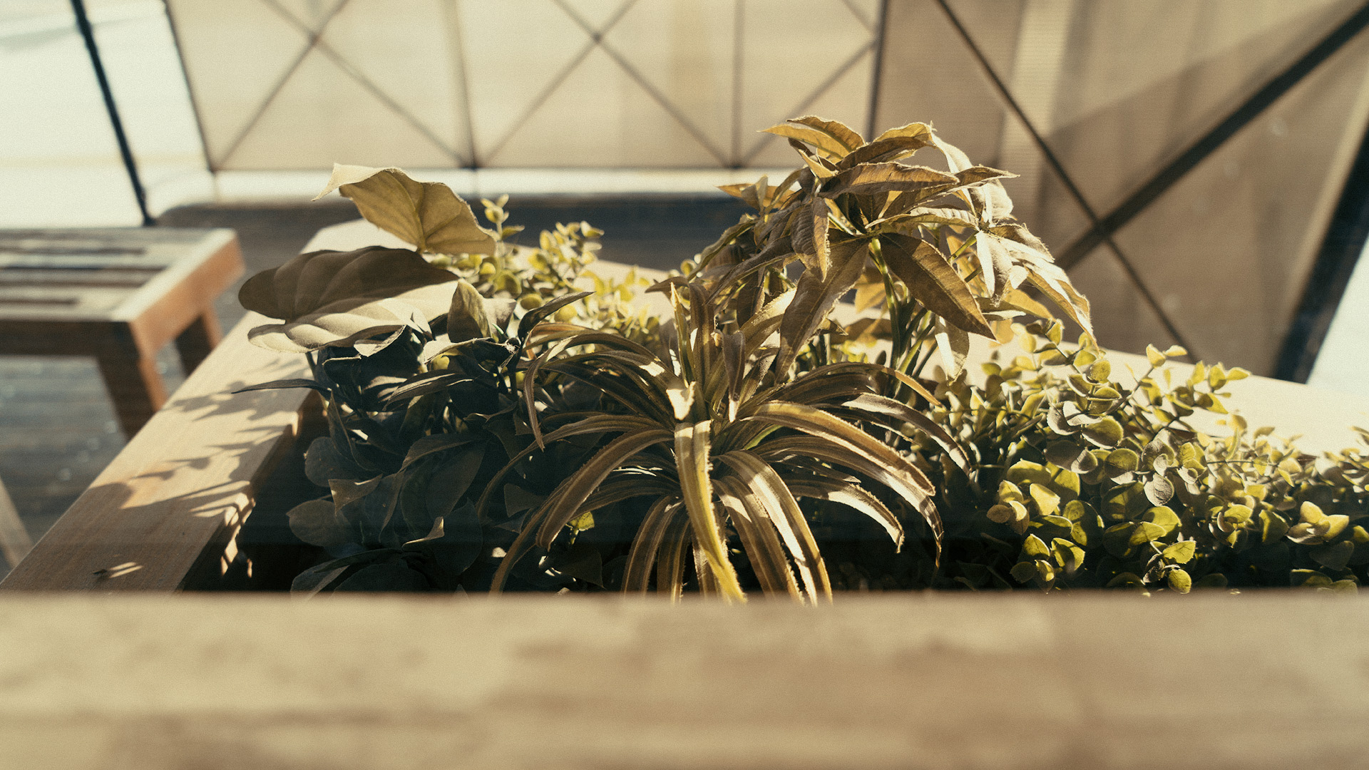 nichinan-miyazaki-19